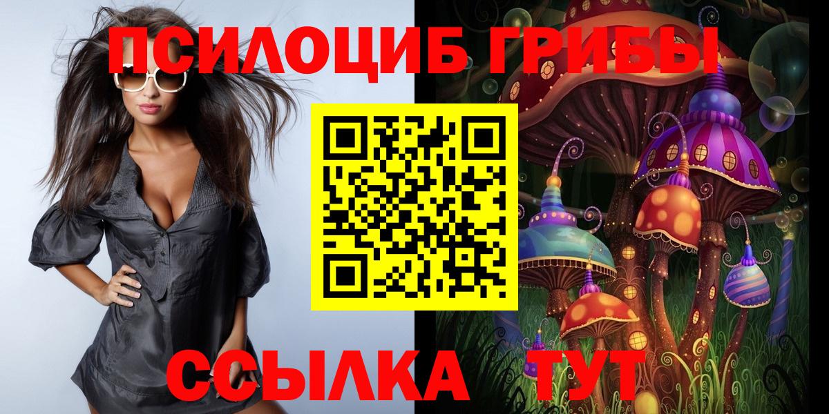 Галлюциногенные грибы Cubensis  Вход с VPN  Элиста 