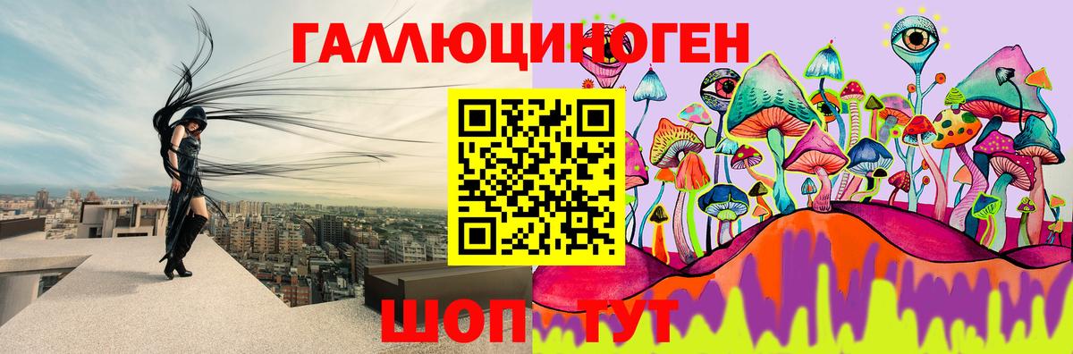 Галлюциногенные грибы прущие грибы Элиста