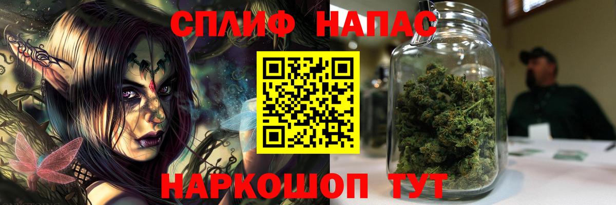 Канабис гибрид Элиста